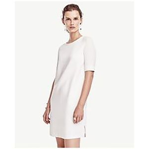 ANN TAYLOR White Eyelet-Back Shift Dress - M